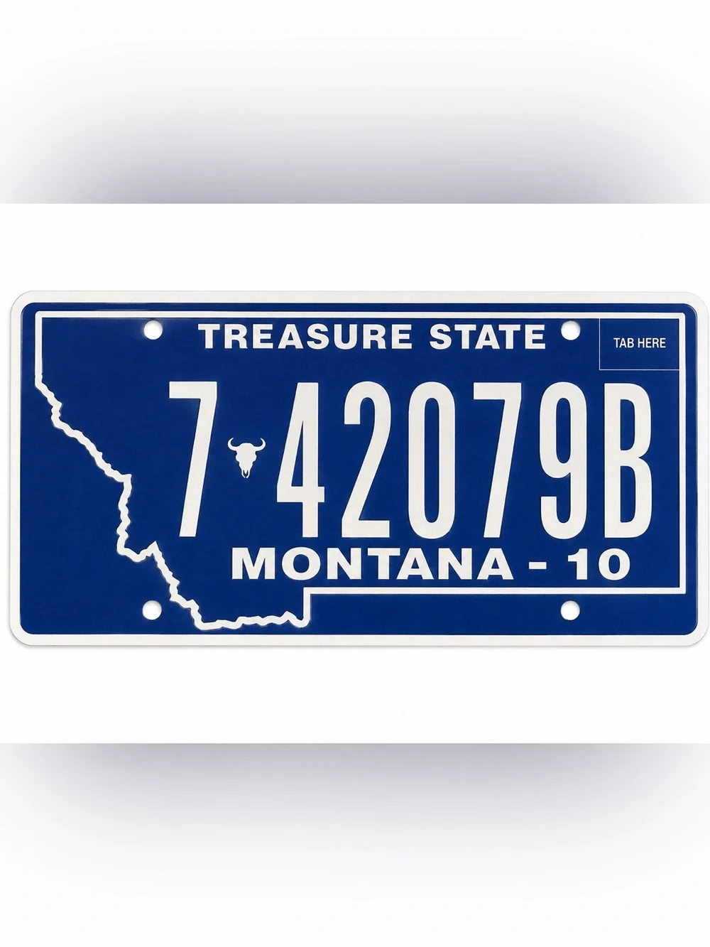 Montana Treasure State License Plate